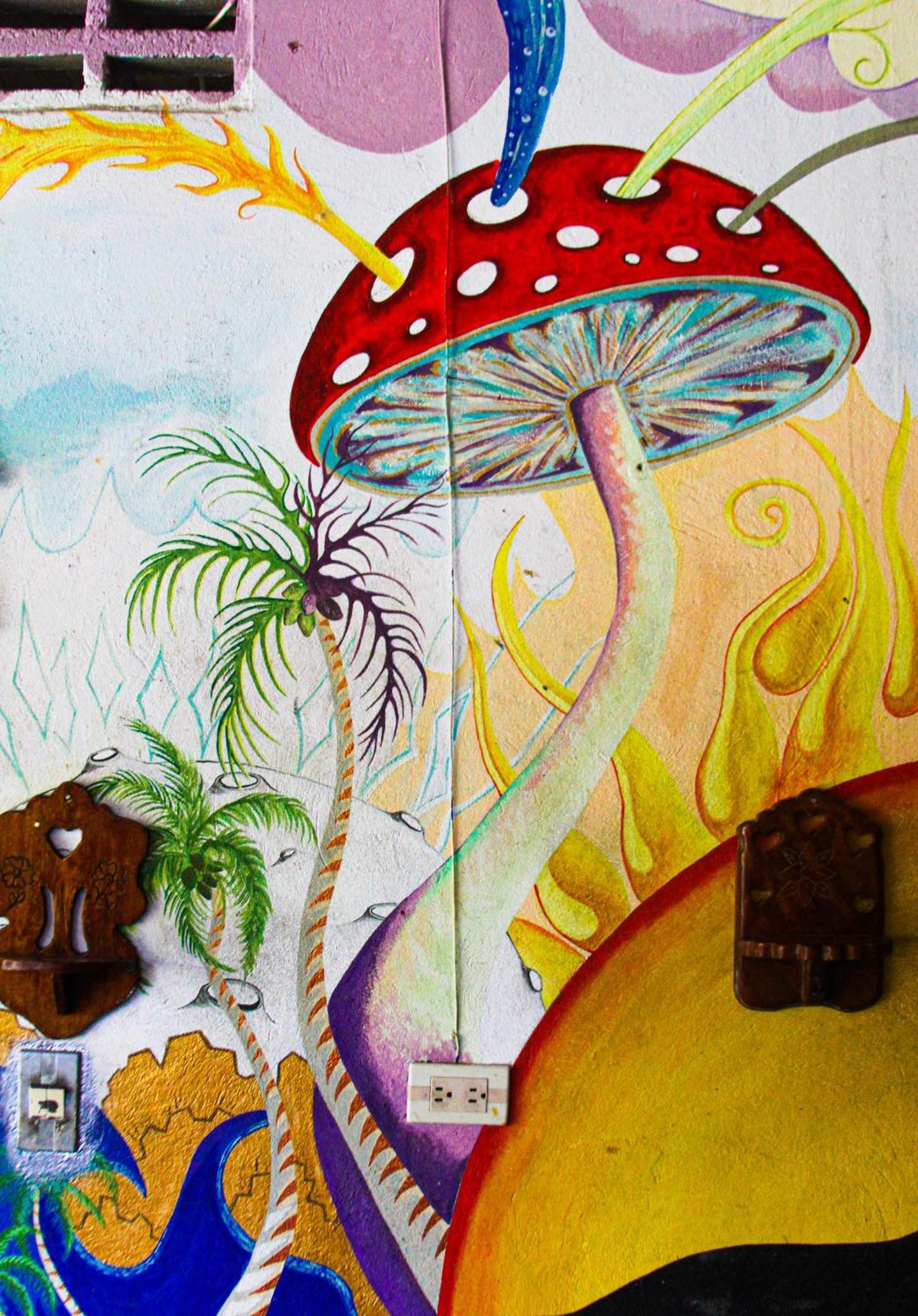 Hotel Casa Surf Mar Azul Palomino Exterior foto