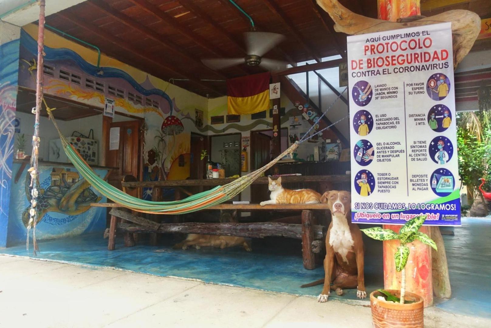 Hotel Casa Surf Mar Azul Palomino Exterior foto
