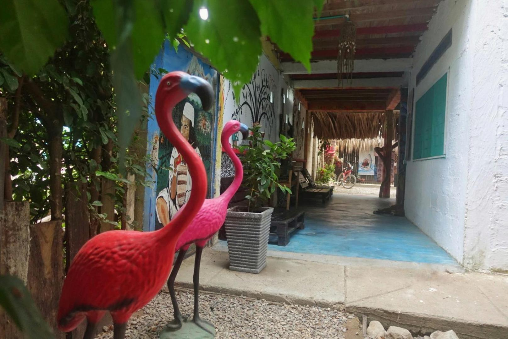Hotel Casa Surf Mar Azul Palomino Exterior foto